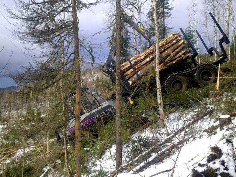 files/example_projects/Fotos LOGSET/LOGSET Forwarder 10F_5.jpg